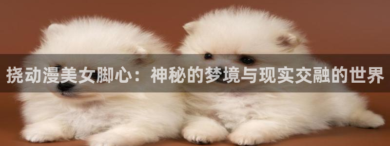 反叛的鲁路修樱花动漫