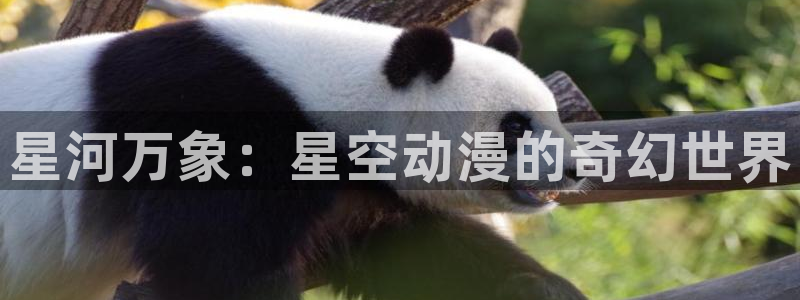 美好世界献上祝福第二季樱花动漫