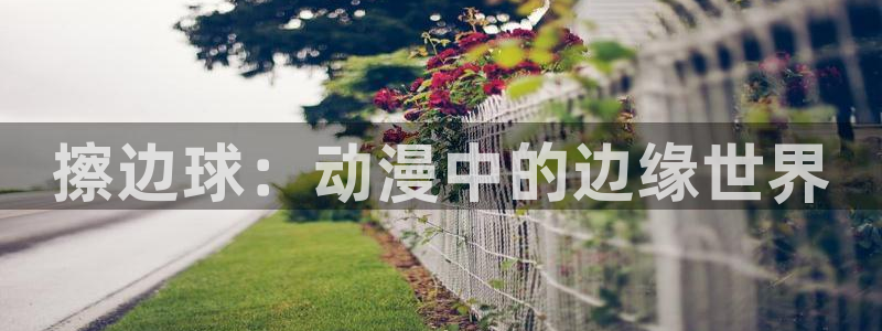 艳母日本樱花动漫