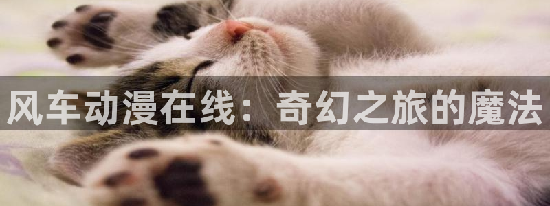 剑来动漫樱花动漫